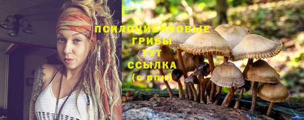 кокаин колумбия Богданович