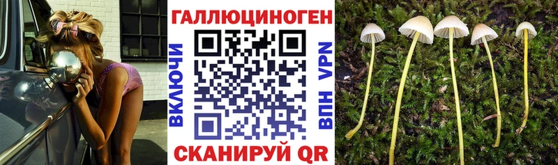blacksprut ссылки  Светогорск  Галлюциногенные грибы мицелий 